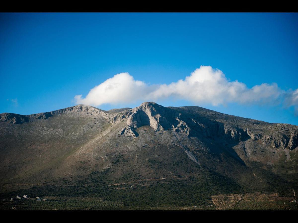 Arapakis Historic Castle Aparthotel Pírgos Dhiroú Eksteriør bilde